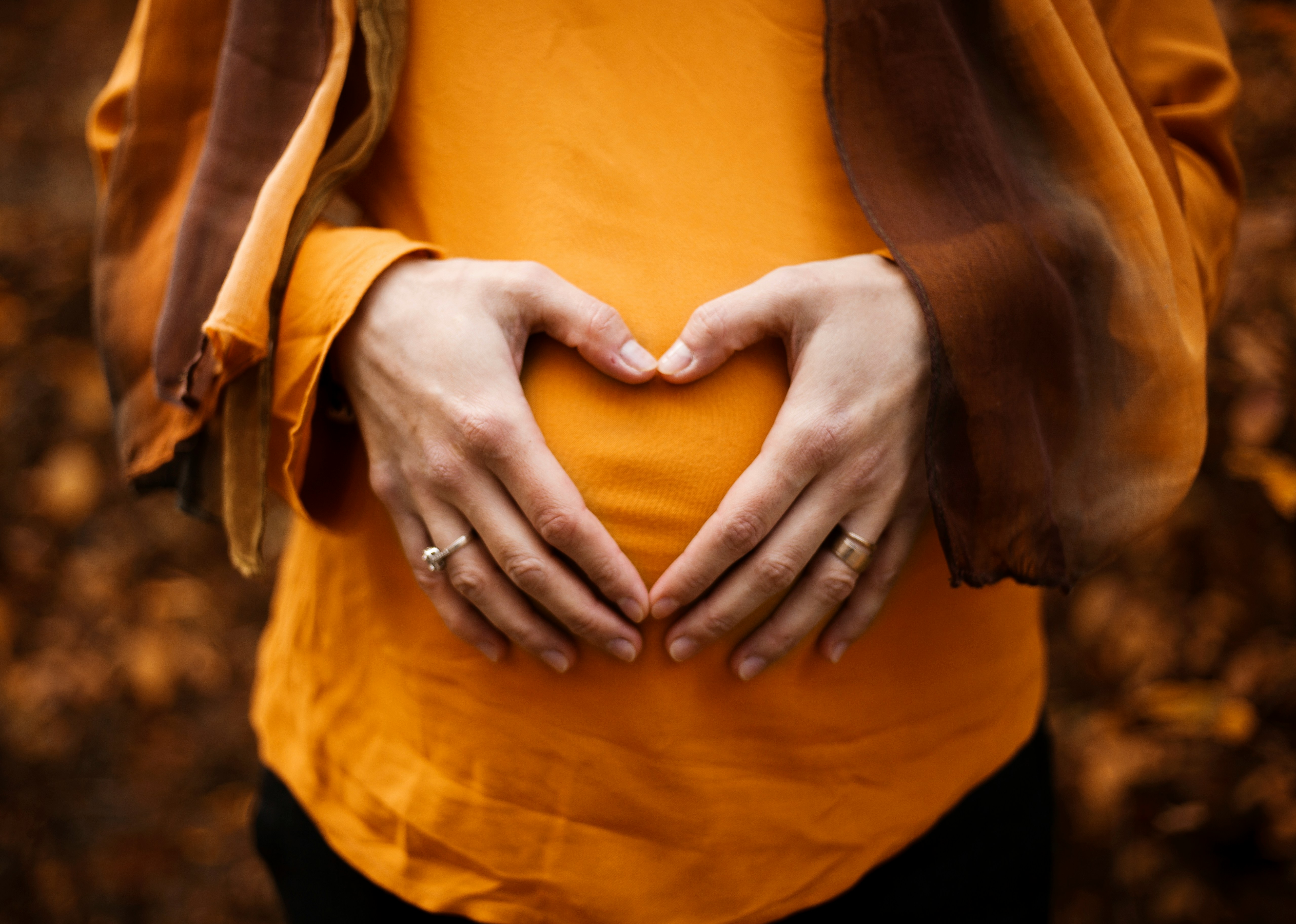 L'accompagnement du féminin